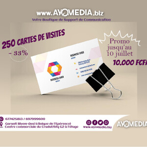 250 Cartes de visites