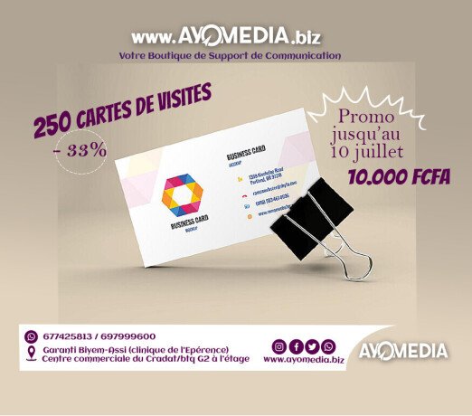 250-cartes-de-visites-big-0