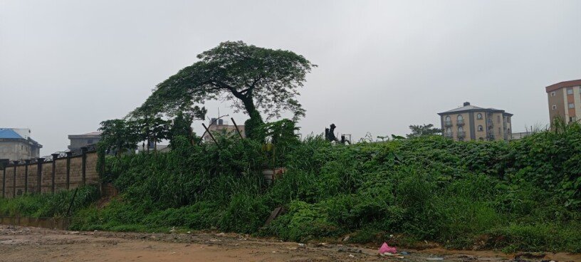 terrain-titre-10000-m2-a-vendre-big-1