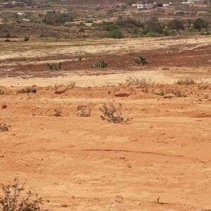 Terrain à vendre à Dschang