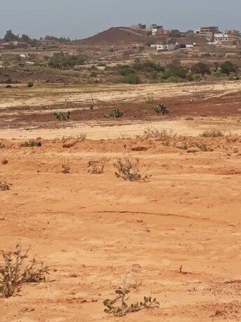 terrain-a-vendre-a-dschang-big-0